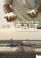 My Name Is Salt Filmplakate One Sheet