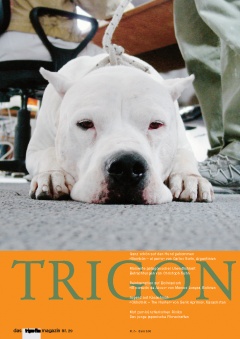 TRIGON 29 - Bombón/The Hunter (Magazin)