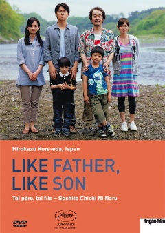 Like Father, Like Son (DVD)