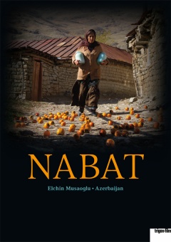 Nabat (Posters A2)